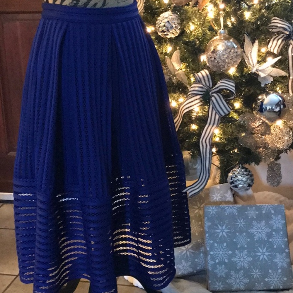 Soprano Pleated Netted Skirt